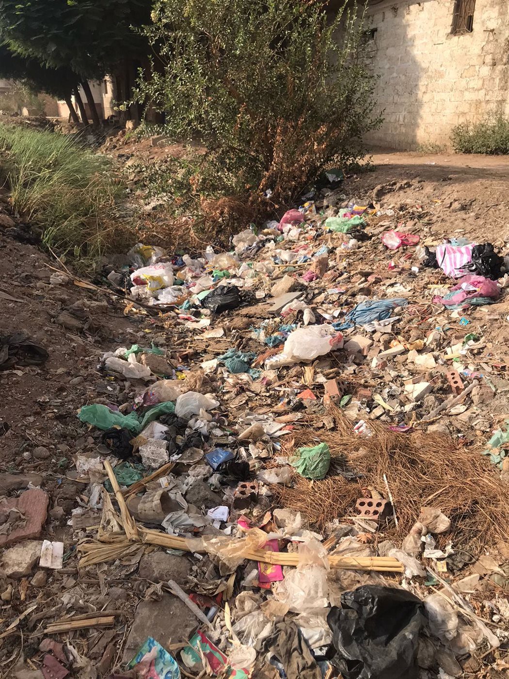 جانب من الترعة 