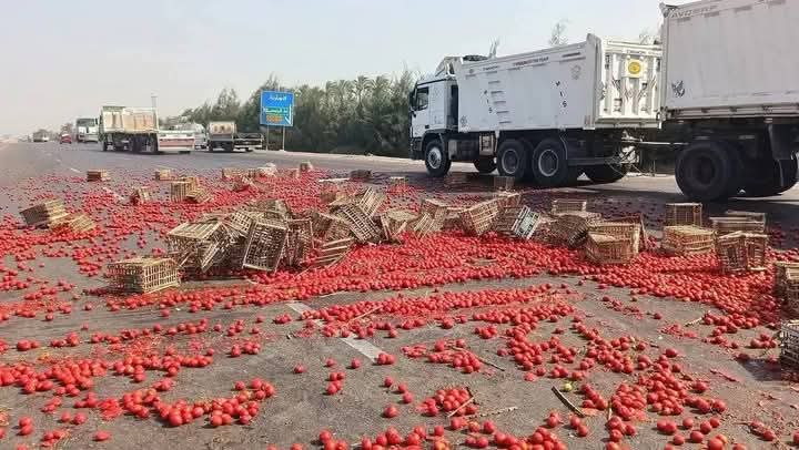 انقلاب سيارة محملة بالطماطم بالطريق الصحراوي بالبحيرة 