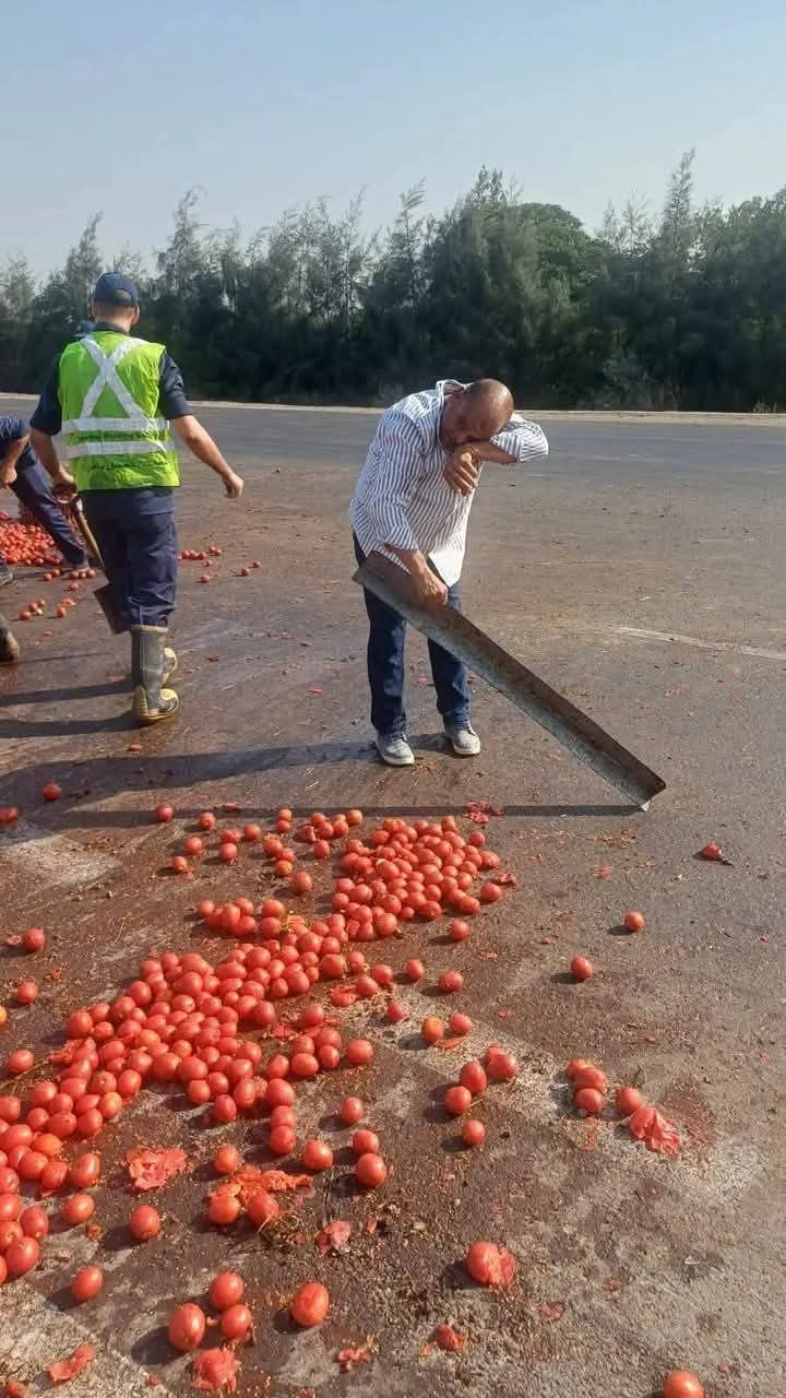 انقلاب سيارة محملة بالطماطم بالطريق الصحراوي بالبحيرة 