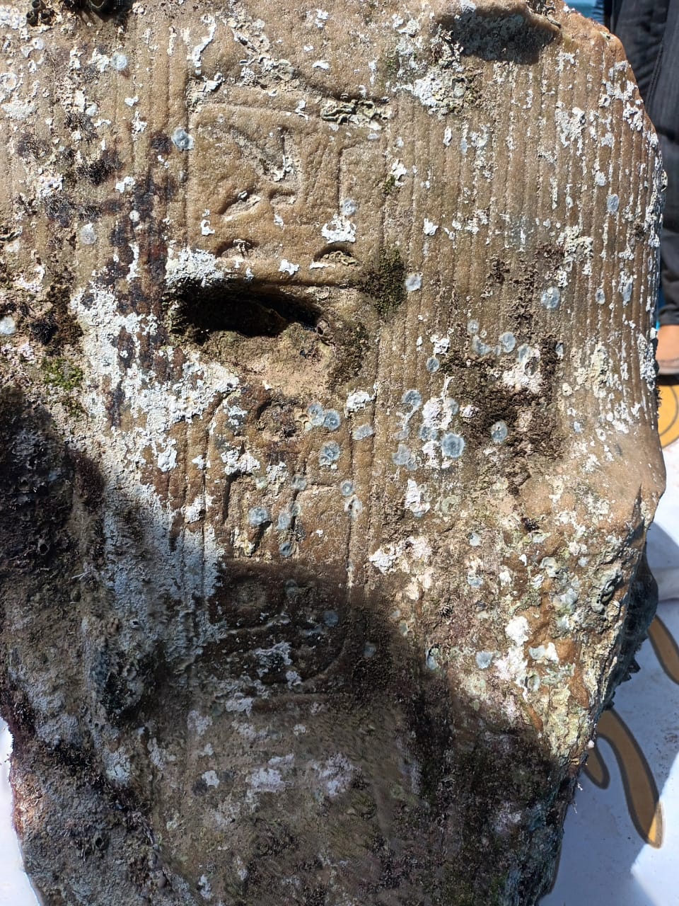 العثور على خرطوش هيروغليفي للملك رمسيس الثاني على إحدي القطع المنتشلة من ميناء أبو قير 