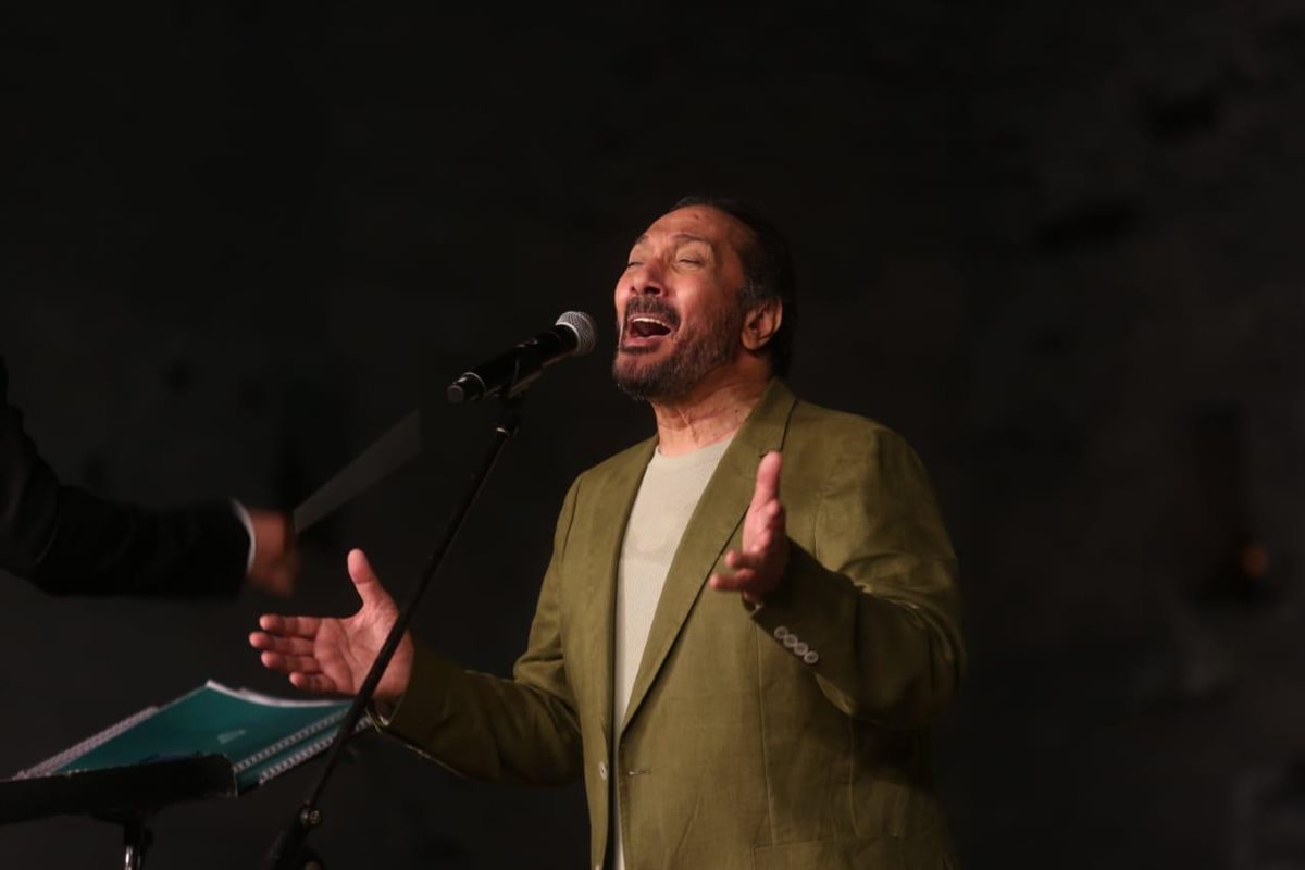 حفل علي الحجار في مهرجان القلعة