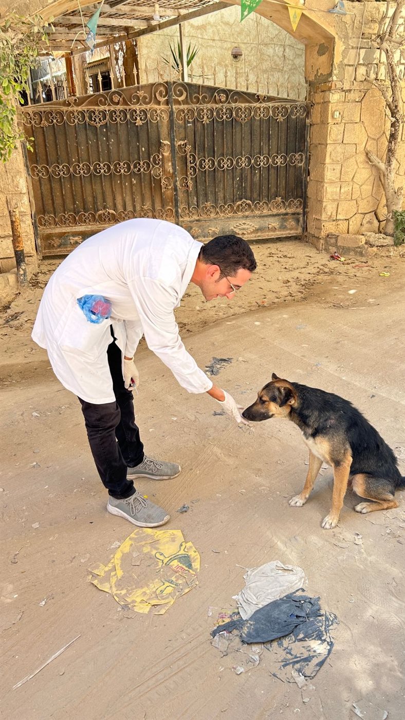 حملات تطعيم