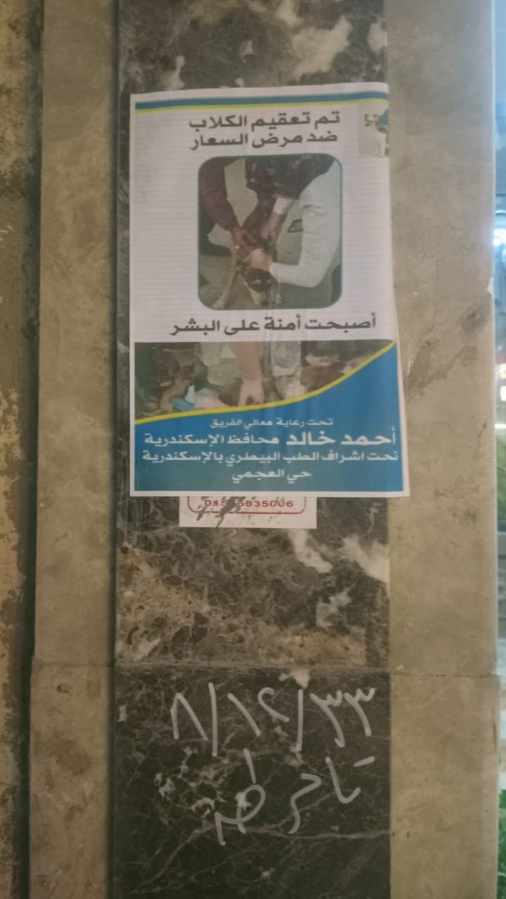 حملات تطعيم