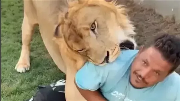 أول تعليق من أسرة الليبي صاحب الأسد بعد القبض عليه