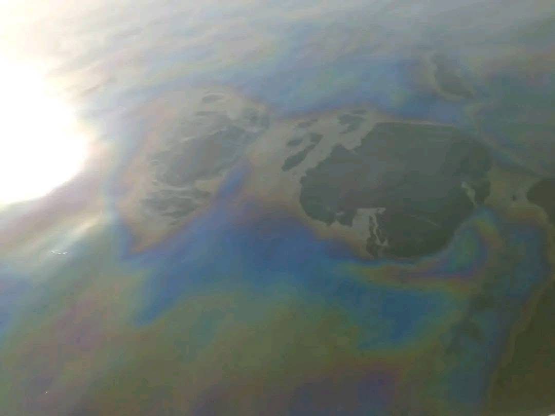 البقع الزيتية بنيل الأقصر