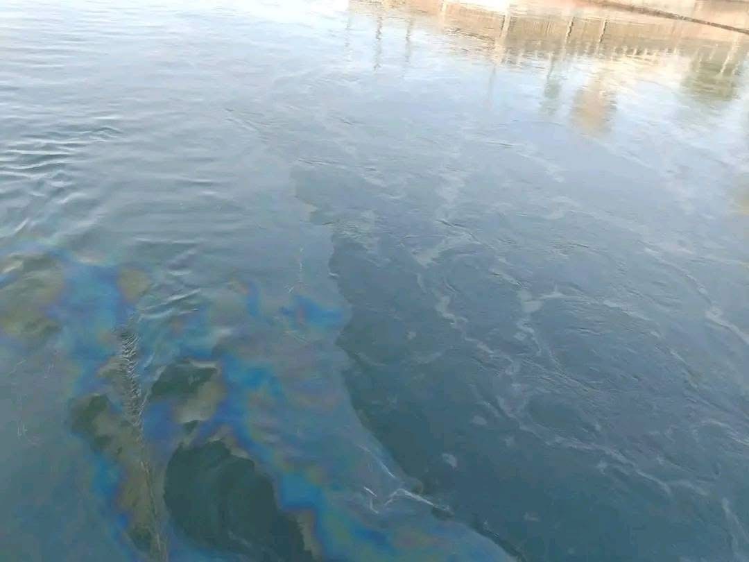 البقع الزيتية بنيل الأقصر