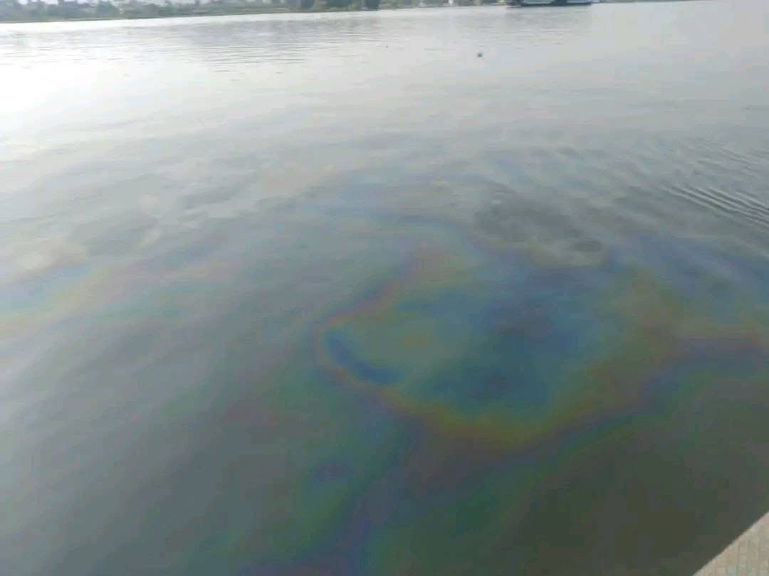 البقع الزيتية بنيل الأقصر