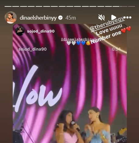 ستوري دينا الشربيني