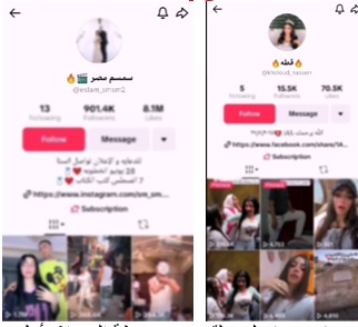 القبض على التيك توكر سمسم مصر وزوجته قطة 