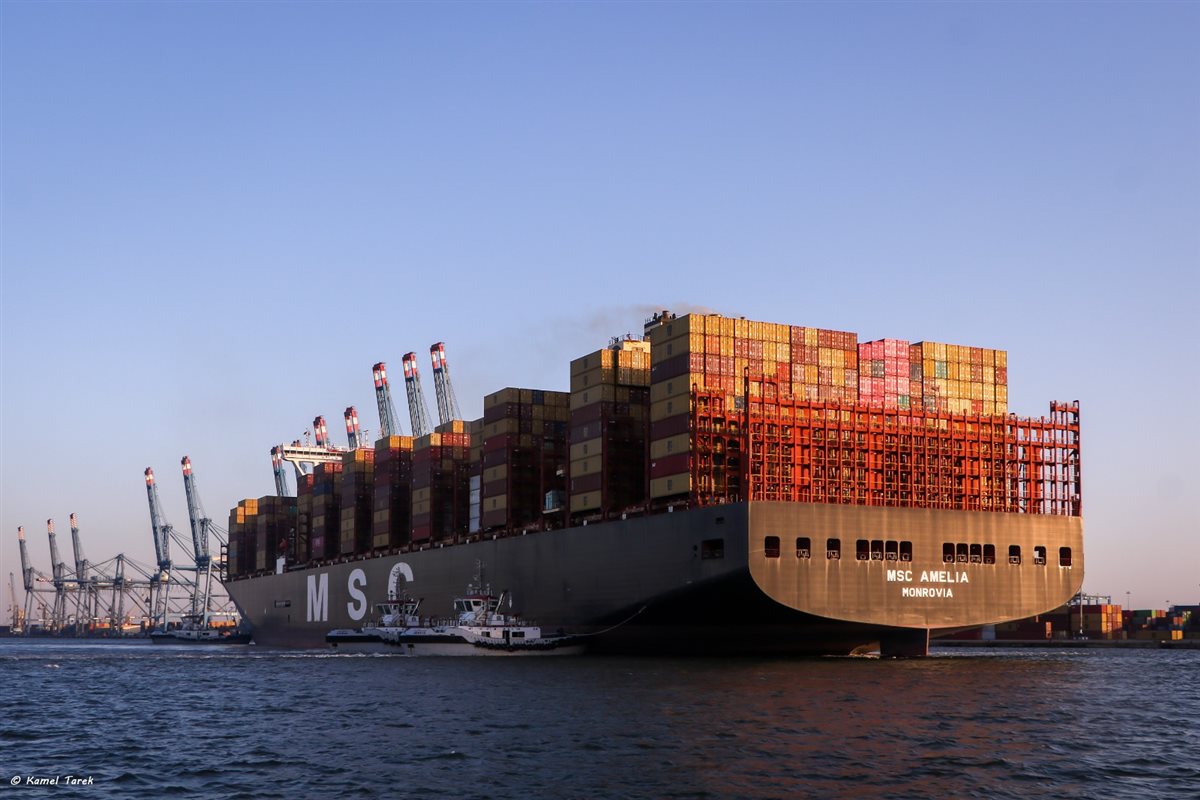سفينة الحاويات العملاقة 