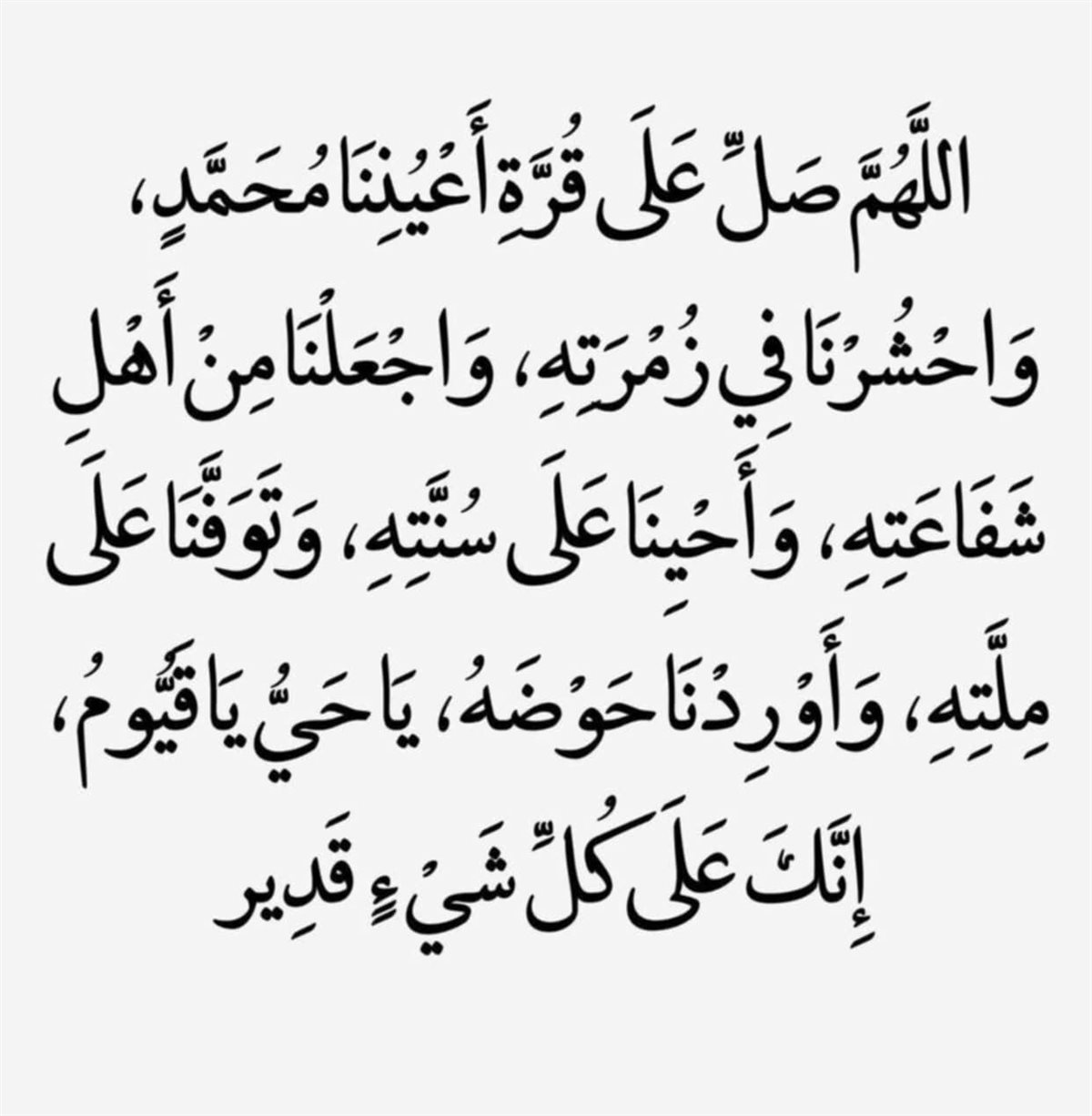 صور تهاني المولد النبوي الشريف