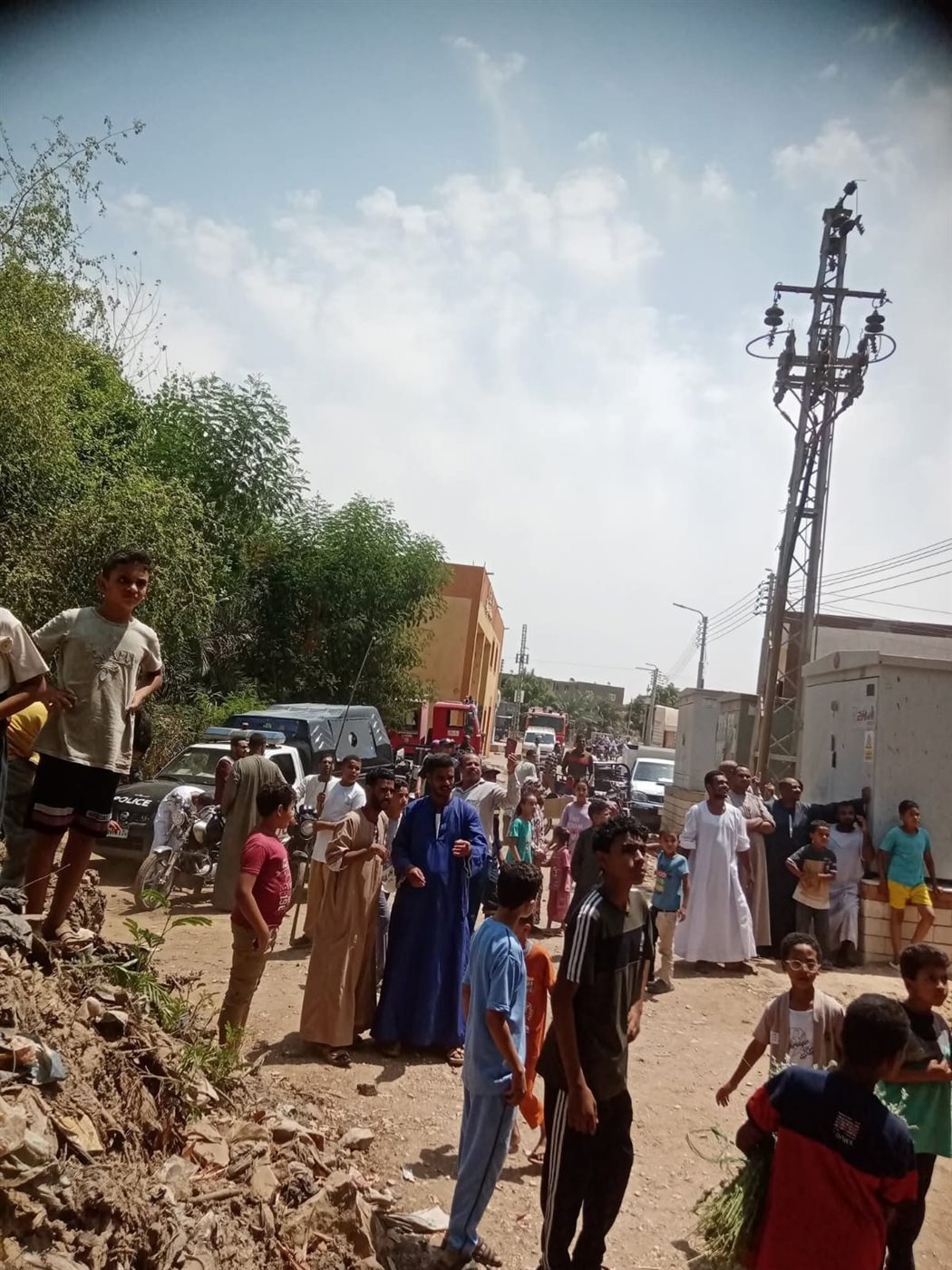 ظهور شامبنزى على أحد الأشجار بقرية الديمقراط بالأقصر