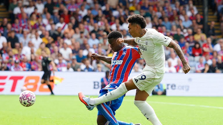 كريستال بالاس يتعادل مع نوتنجهام في بريميرليج 