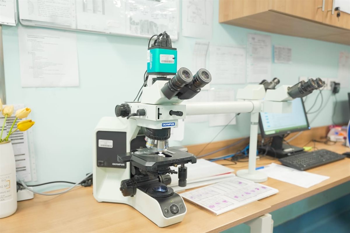 إدخال جهاز الميكروسكوب متعدد الرؤوس بأورام الأقصر 