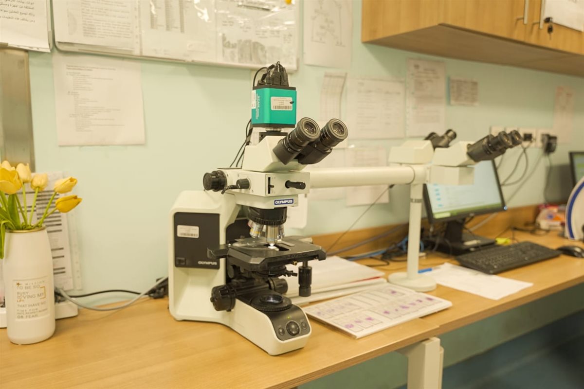 إدخال جهاز الميكروسكوب متعدد الرؤوس بأورام الأقصر 