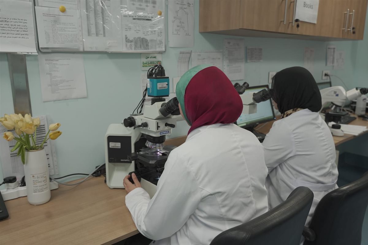 إدخال جهاز الميكروسكوب متعدد الرؤوس بأورام الأقصر 