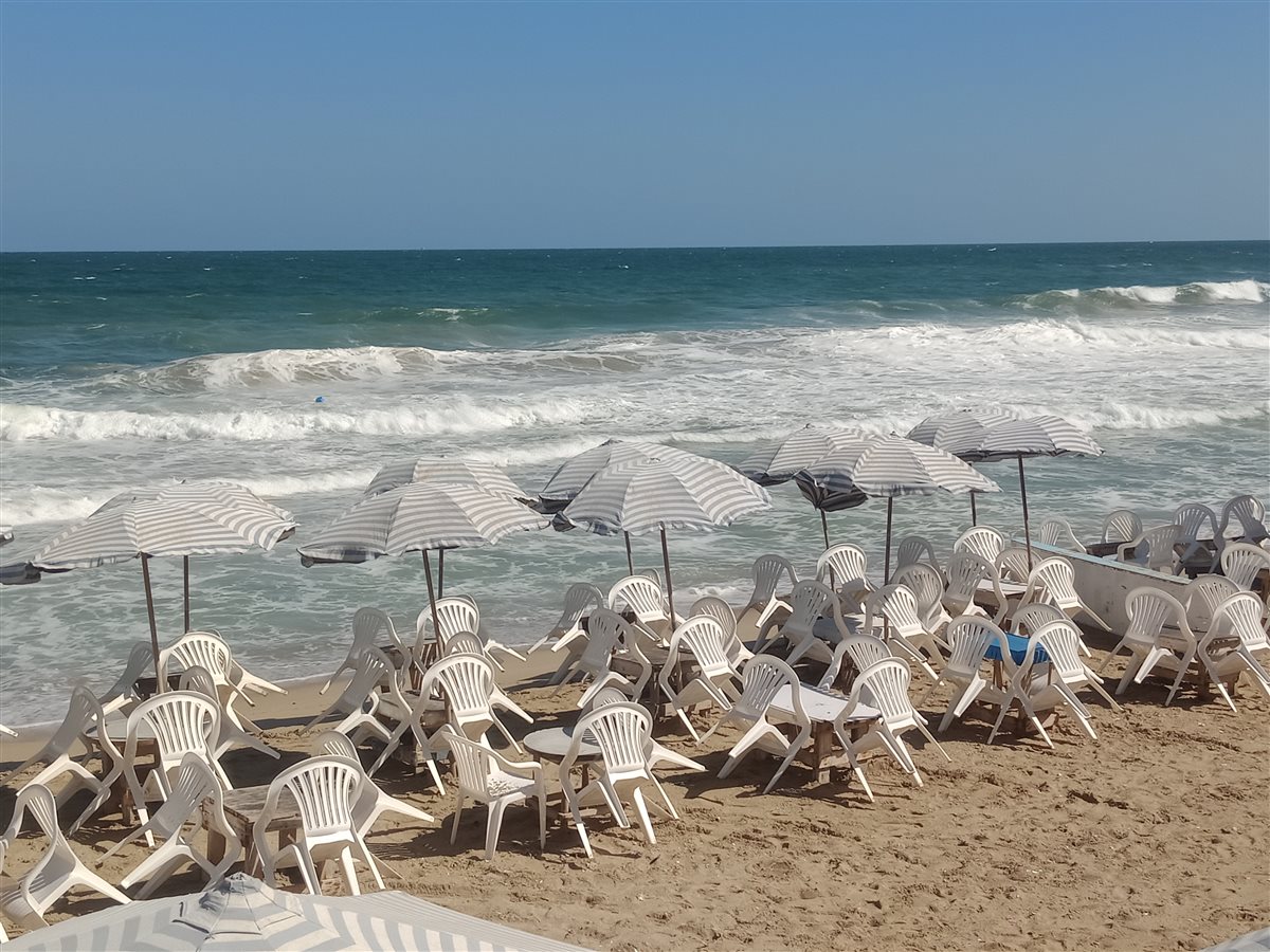 شواطئ الإسكندرية 