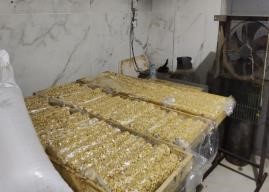 حلوى المولد