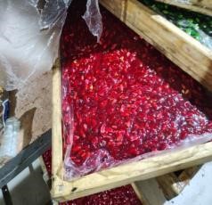 حلوى المولد