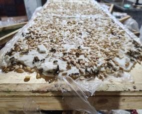 حلوى المولد