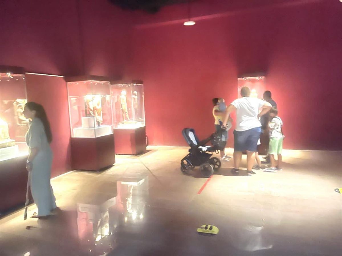 قاعات العرض