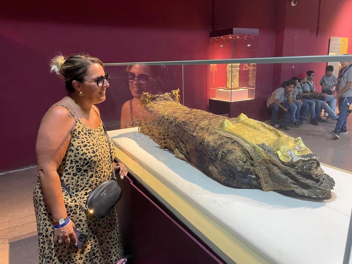 قاعات العرض