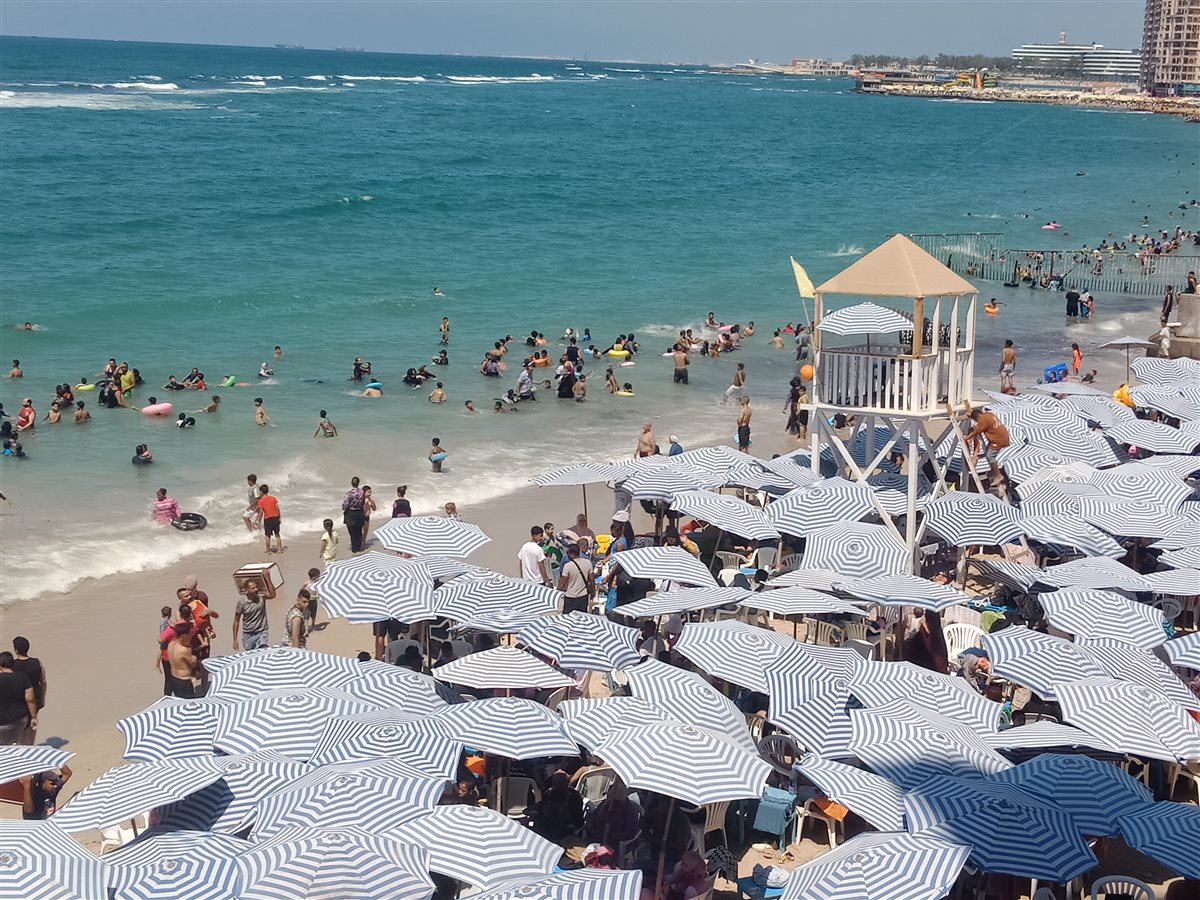 شواطئ الإسكندرية