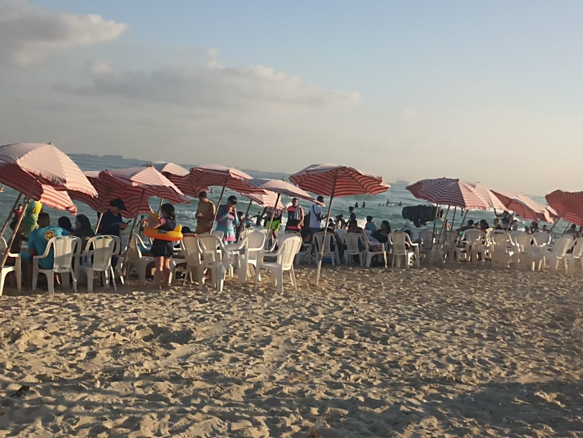 شواطئ الإسكندرية 