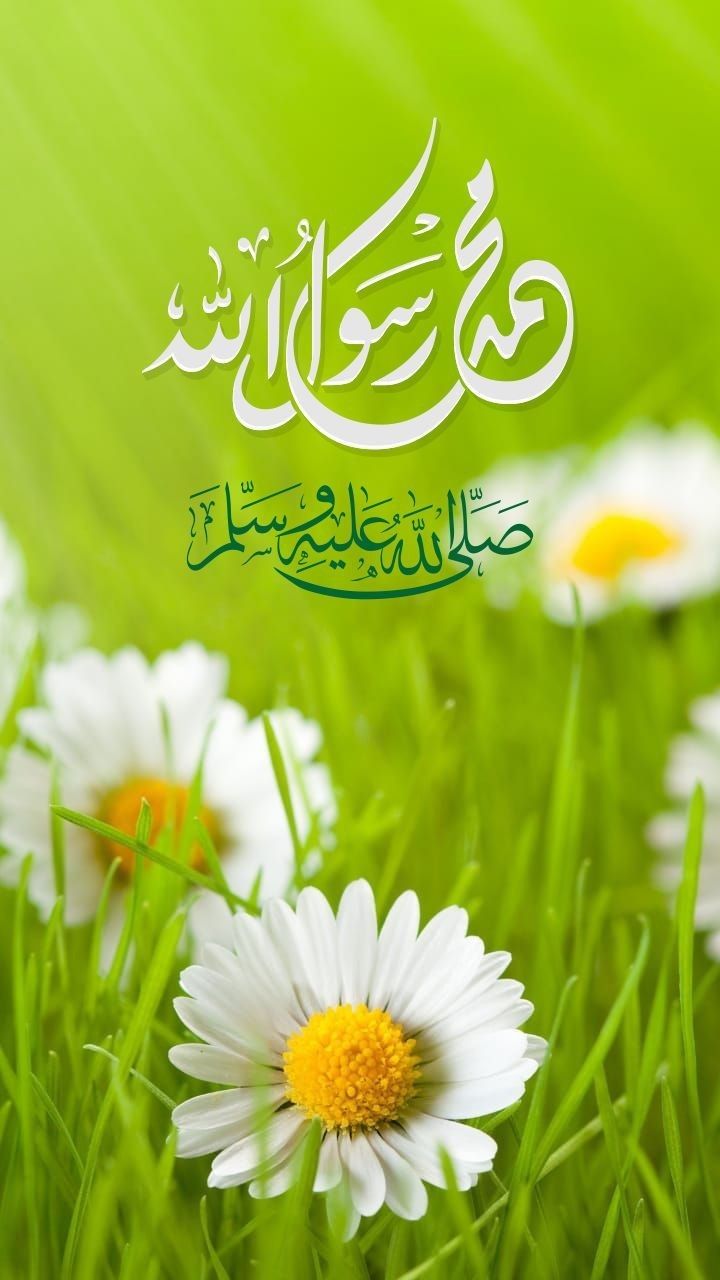 صور تهنئة المولد النبوي 2025