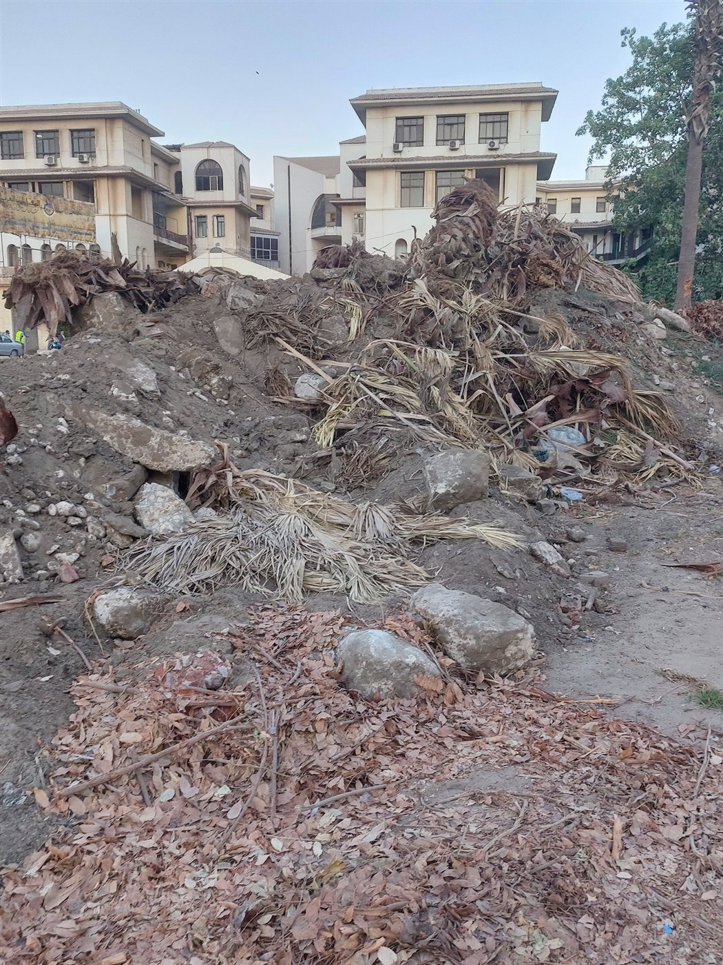 إزالة حديقة أم كلثوم