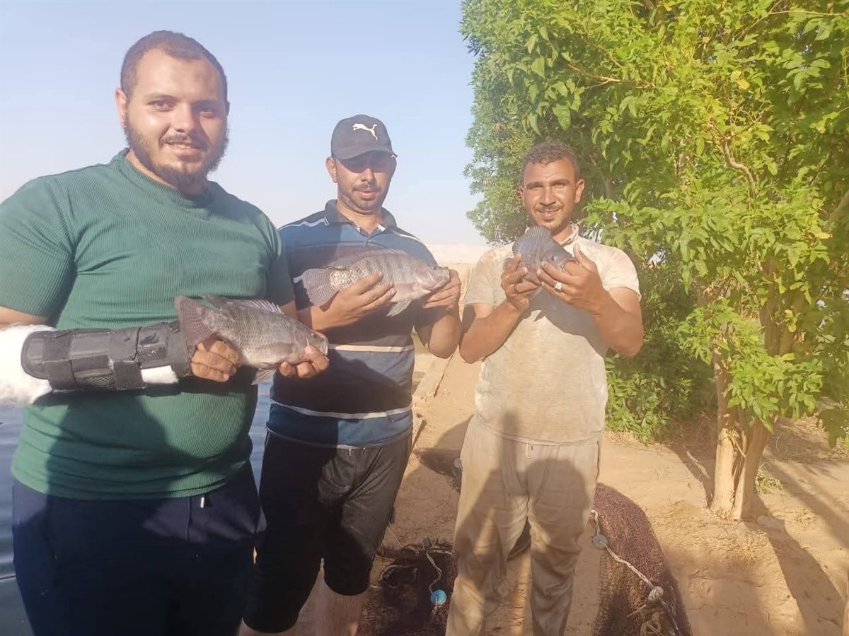 مشروع الاستزراع السمكي في الوادي الجديد