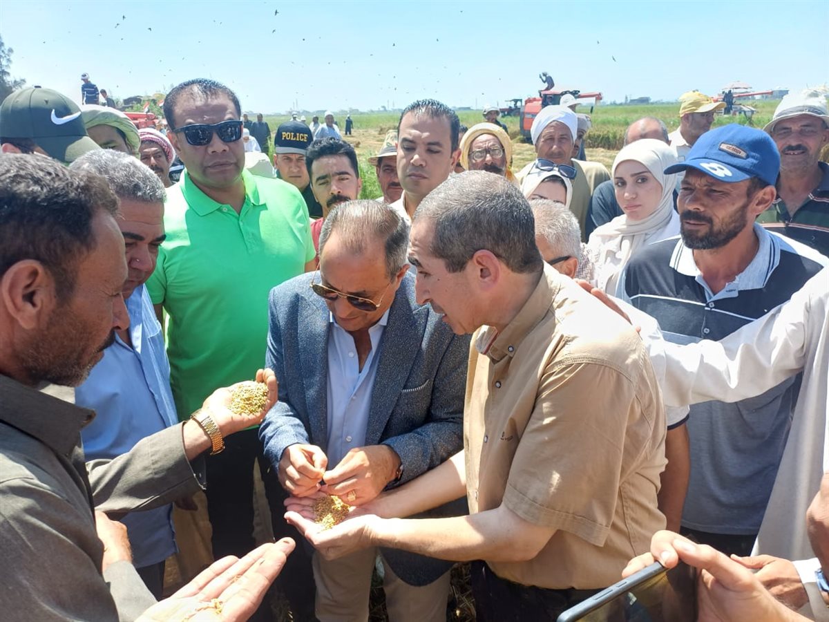 محافظ بورسعيد يشهد حصاد الأرز