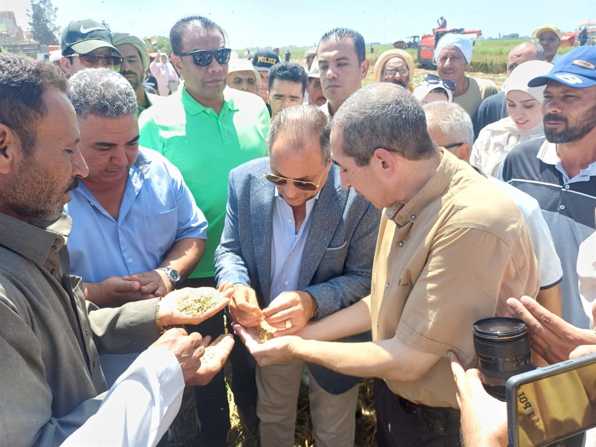 محافظ بورسعيد يشهد حصاد الأرز