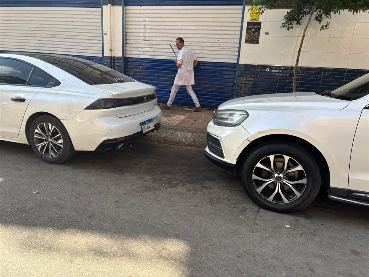 حملة بيطرية بدمنهور لتحصين الكلاب الحرة 