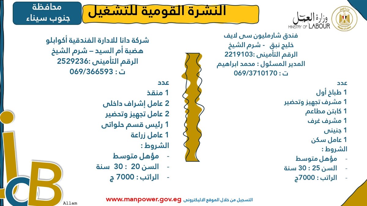 فرص عمل جديدة من وزارة العمل