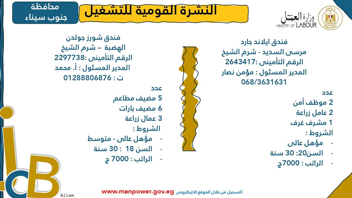 فرص عمل جديدة من وزارة العمل