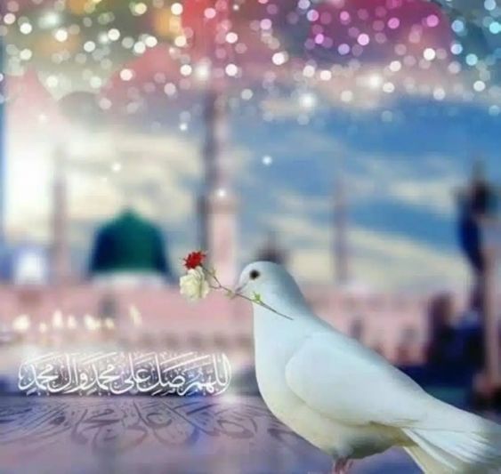صور تهنئة بالمولد النبوي الشريف