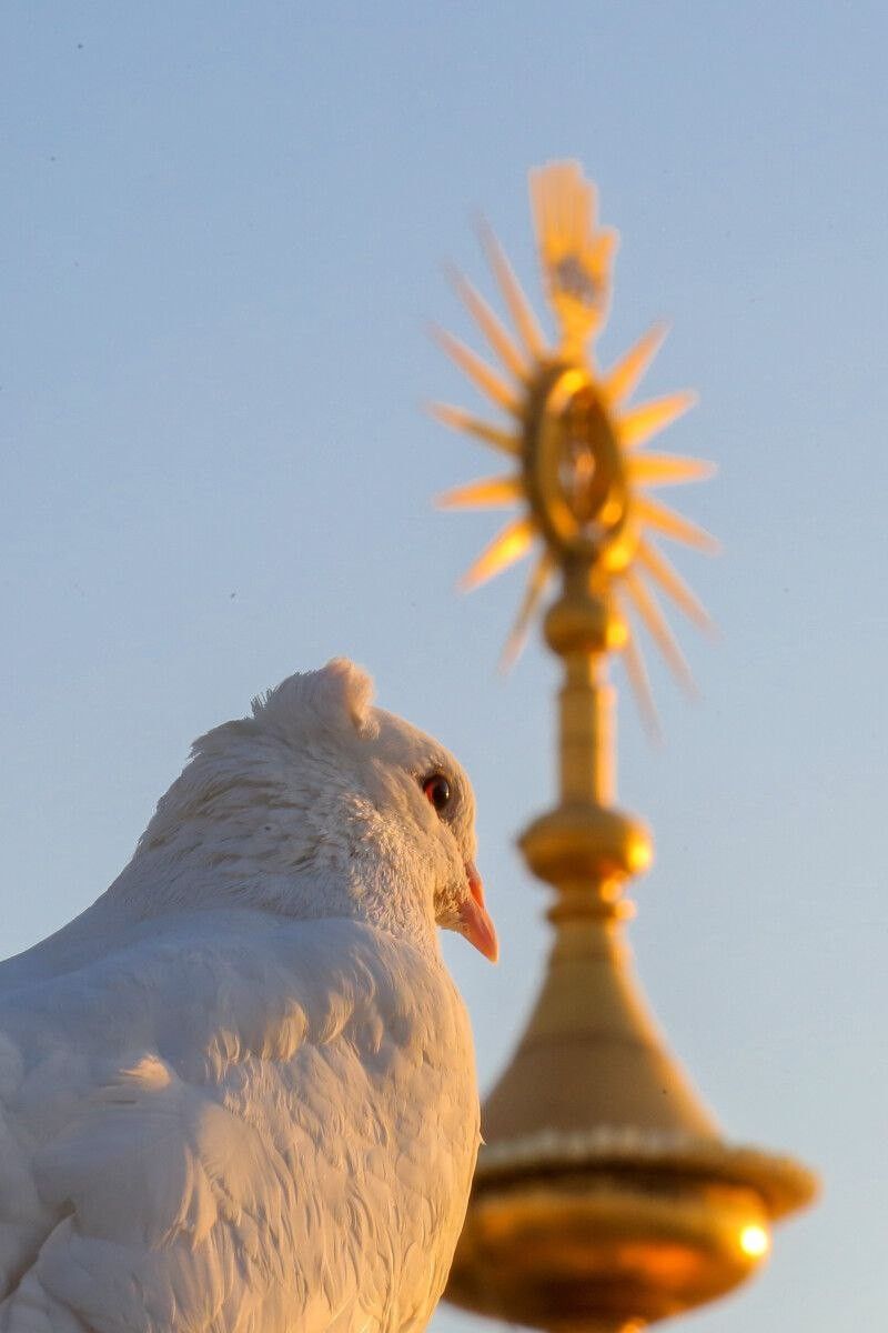 صور تهنئة بالمولد النبوي الشريف
