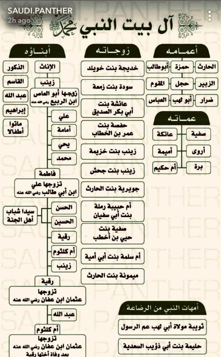 بطاقة تعريفية بالنبي بمناسبة المولد النبوي الشريف