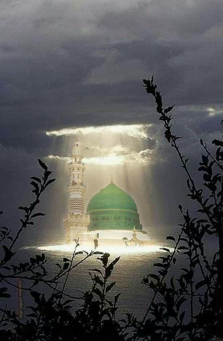 بطاقات تهنئة المولد النبوي الشريف 