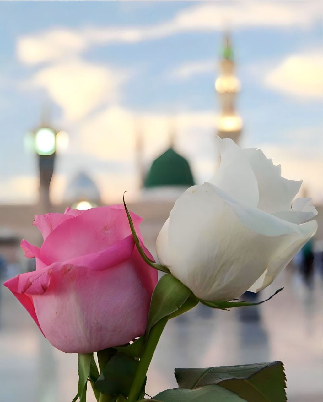 بوست تهنئة المولد النبوي