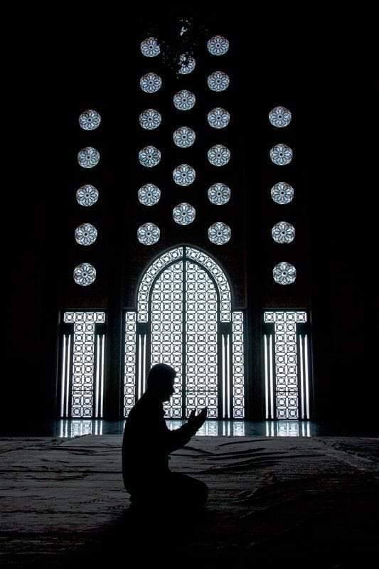 تهنئة المولد النبوي