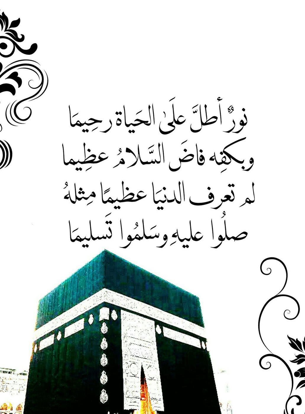 تهنئة المولد النبوي