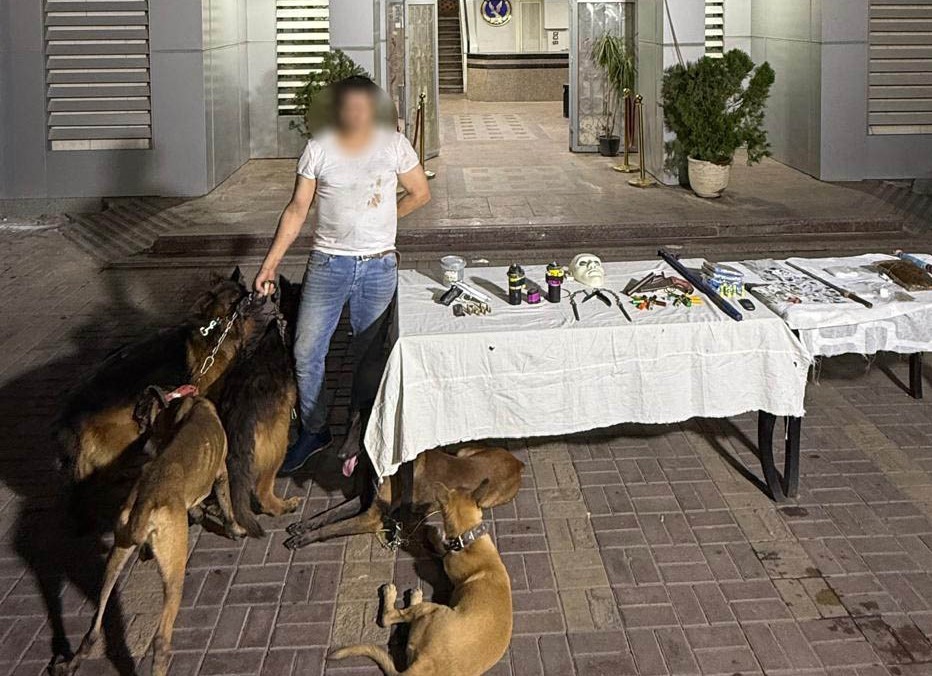 المتهم بالاتجار في المخدرات - المضبوطات - الكلاب الشرسة المستخدمة