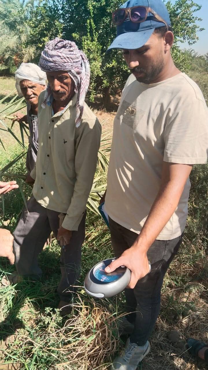 حملات للزراعة علي مزارع النخيل