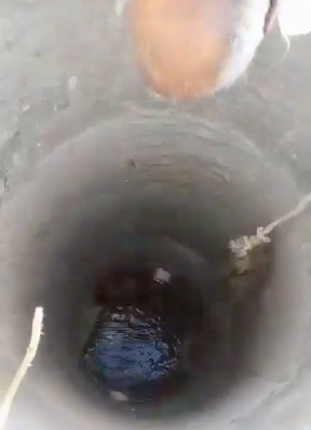 الجد وأحفادة ينقذون كلبا سقط في بئر بالأقصر 