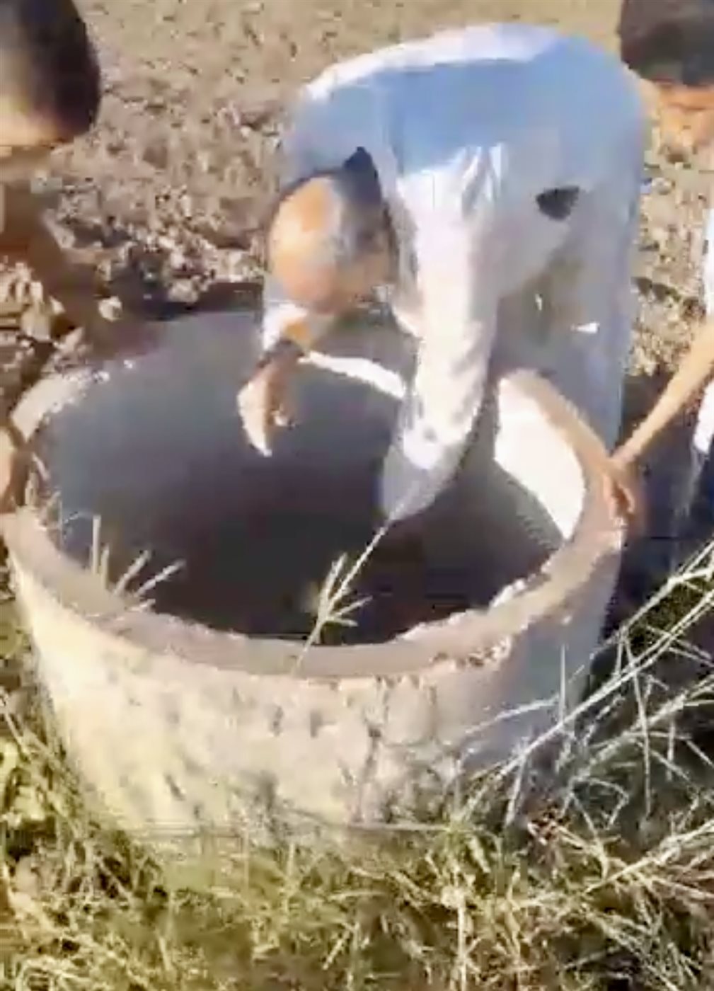 الجد وأحفادة ينقذون كلبا سقط في بئر بالأقصر 