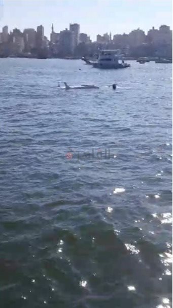 صيادو الإسكندرية يستغيثون بعد إزالة ورش صيانة ميناء قايتباي