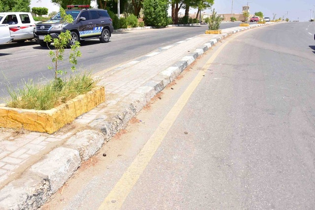 محافظ الأقصر يتفقد المسار السياحي 