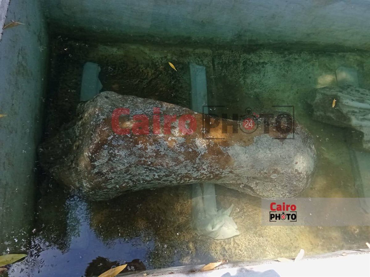 القطع الأثرية الغارقة 